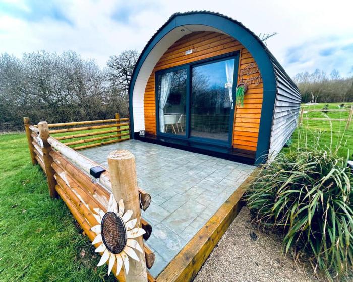 Beech Pod Cabin in beautiful surroundings Wrexham