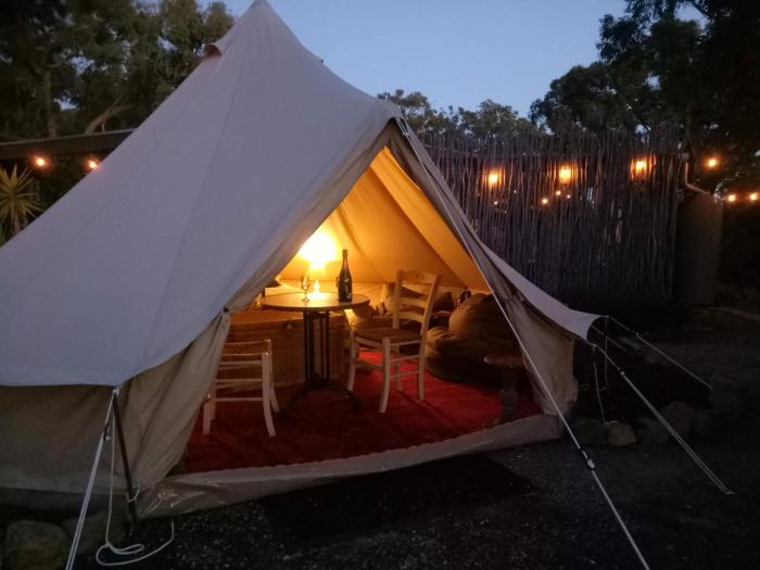 Macedon Ranges Glamping with kangaroos - Tent