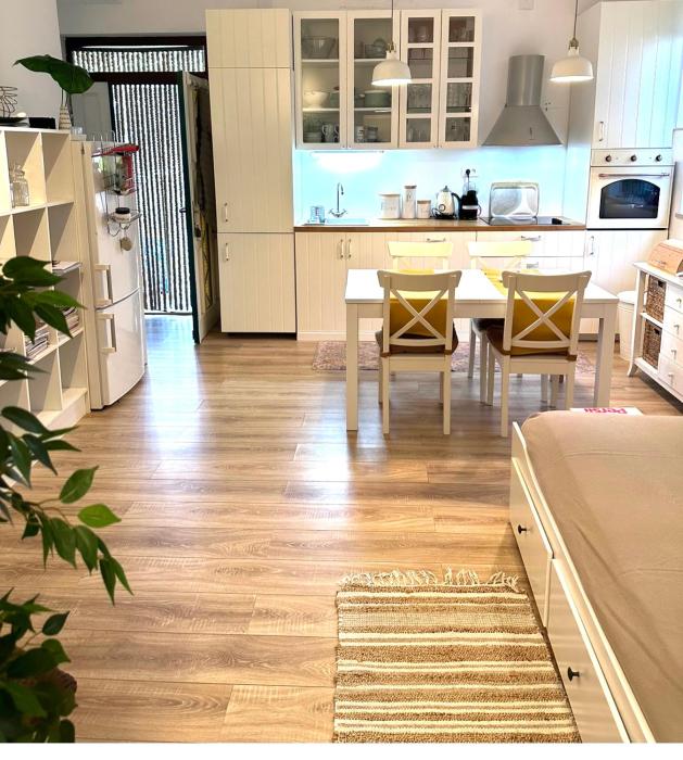 Apartment Milú
