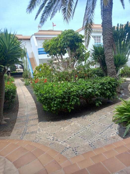 Corralejo Beach apartament