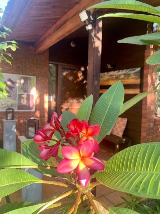 Bushland Beach Holiday House