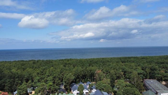 Apartament w sosnowym lesie