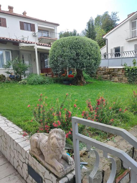 Papillon- free parking