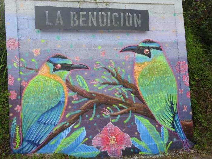 FINCA LA BENDICION