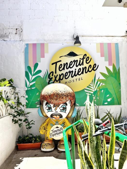 Tenerife Experience Hostel