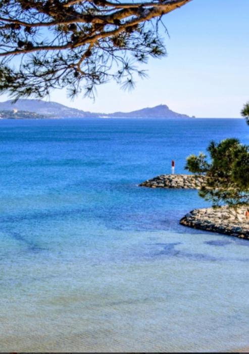 Le bonheur de saint Aygulf