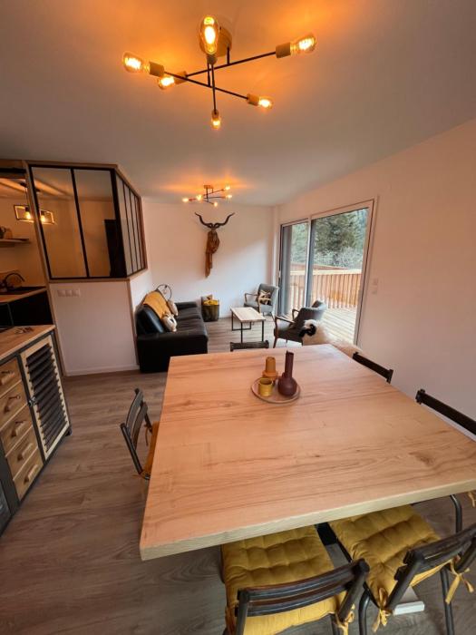 APPARTEMENT AUX PIEDS DES PISTES DE SKI