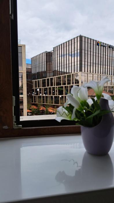 Central Palace Iași Apart 2