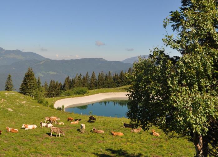 Apartment MOUNTAIN PARADISE Golte