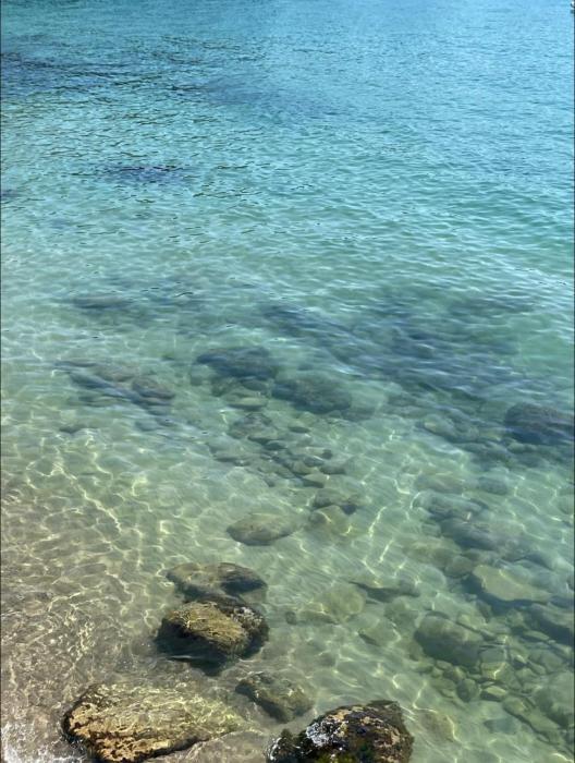 5 Cinque Terre Monolocale in Centro a La Spezia