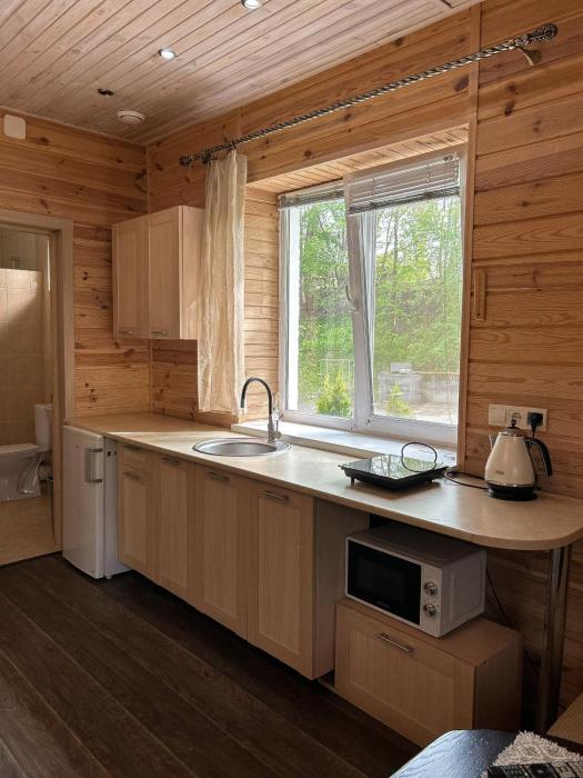 Котедж бiля рiчки село Кудашiвка