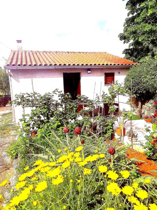 Apartment Garden