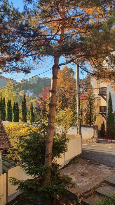 Central Luxury Apartment with City View