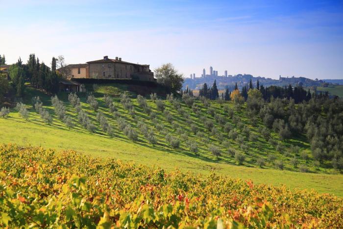 Agriturismo Montegonfoli