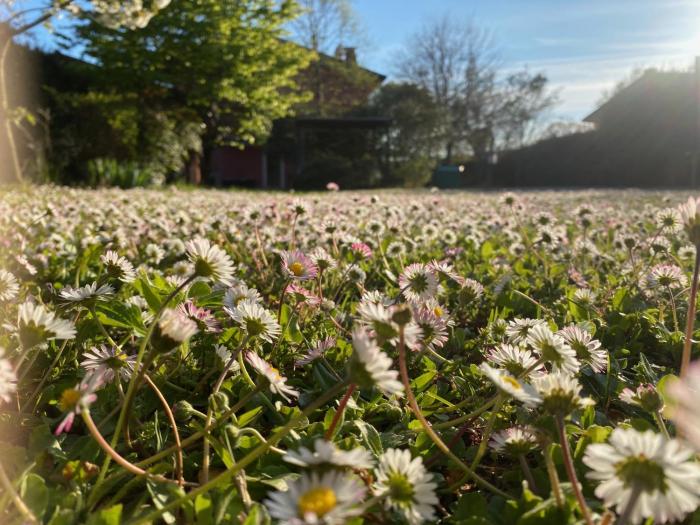 Spazio Friuli - Tiare Apt. residenza nel verde