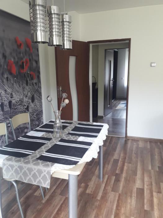 Apartament u Dany Las wita Was w otoczeniu gór i dzikiej przyrody