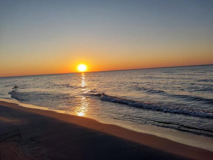 domek Drewniany na wiejskiej