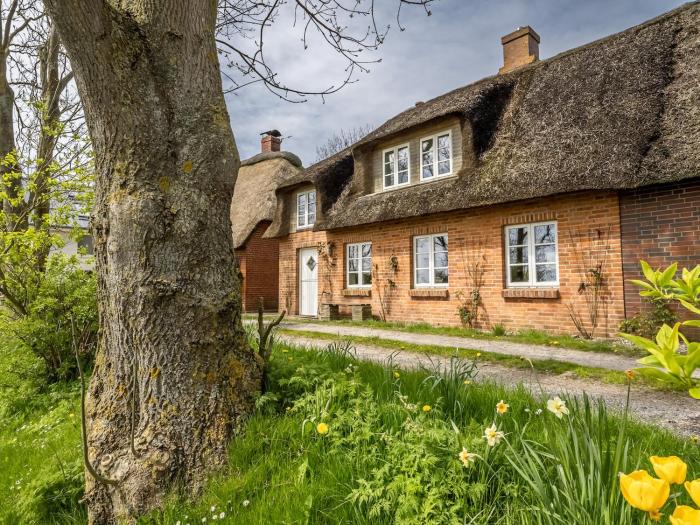 Westertilli 8 Reetdachhaus mit Garten