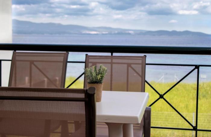 Starry Coast Apartments