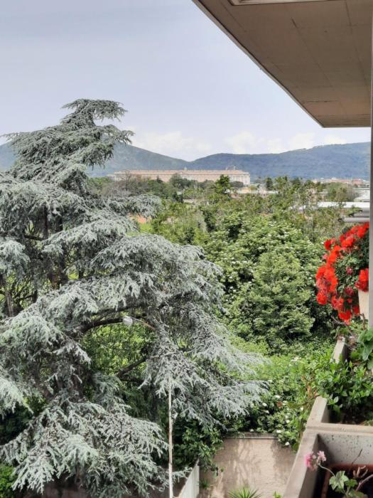 Luna Reale Relais e Suite APARTMENTS