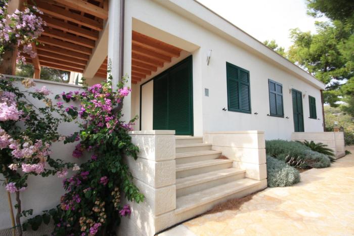 Seaside holiday house Milna, Brac - 3242