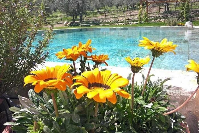 Villa Casaglia 3apartment With Shared Pool