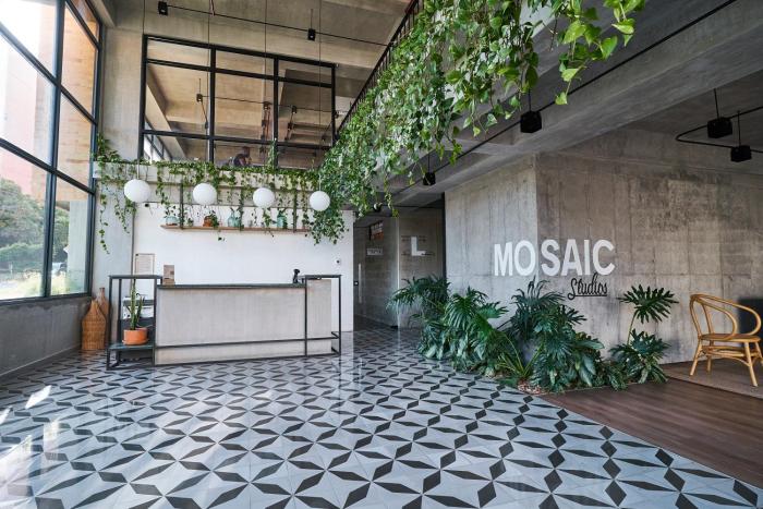 Mosaic Studios Buenavista