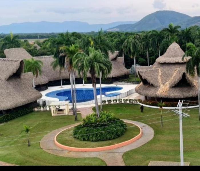 Apto en Flandes Palma real