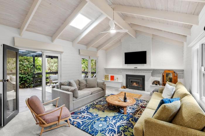 Tawny frog mouth in the trees