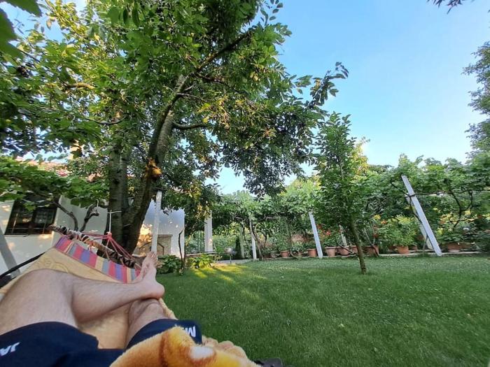 Holidayhome with 100% bio food