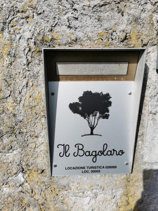 Il Bagolaro