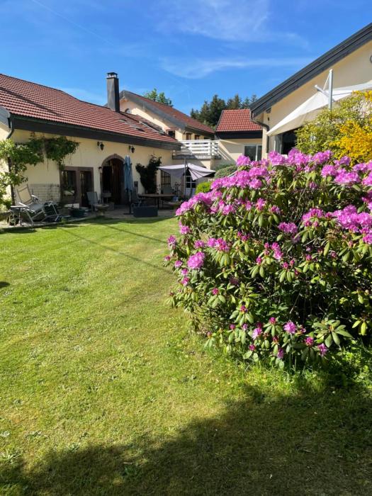 Chambres d’hôtes plateau des mille étangs