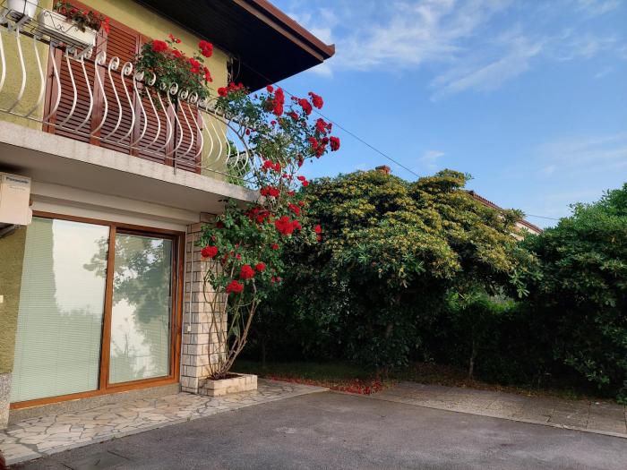 Apartma Niko