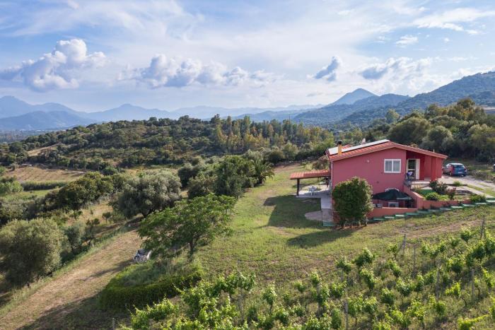 La Collina degli Ulivi