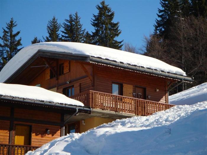 Chalet Savoyard 8 pers, proche pistes, parking - FR-1-733-1