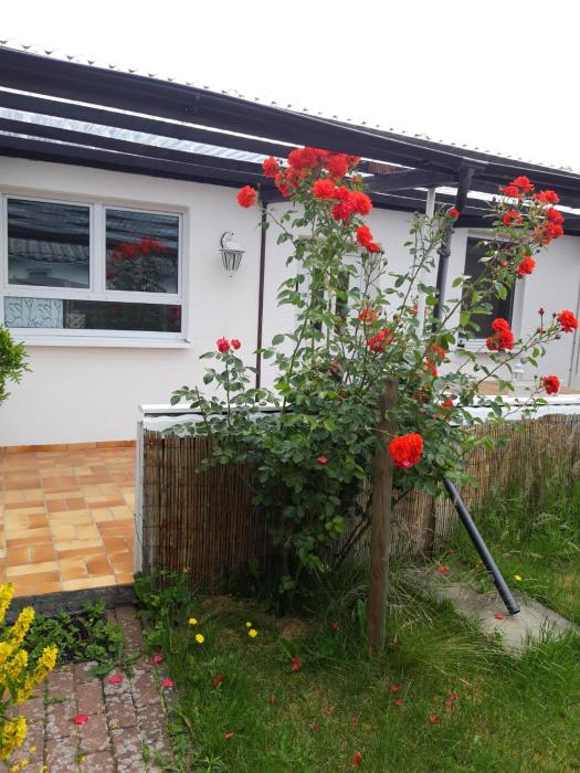 Bungalow Usedom