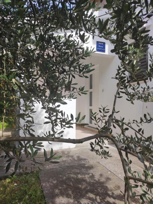Apartment Olive II