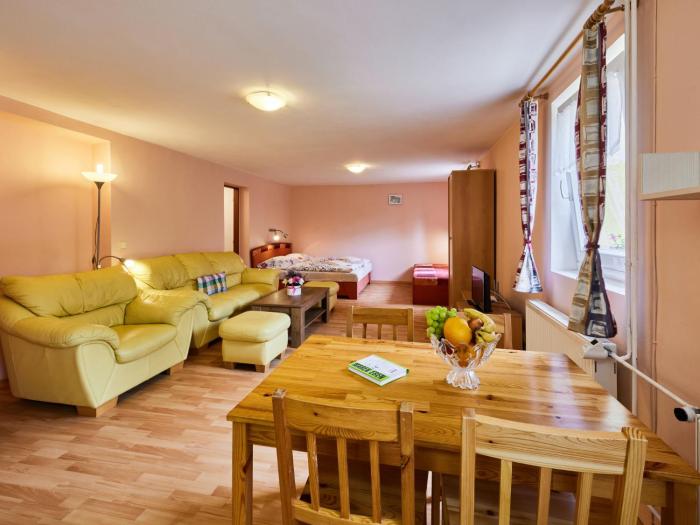 Studio U Šustrů by Interhome