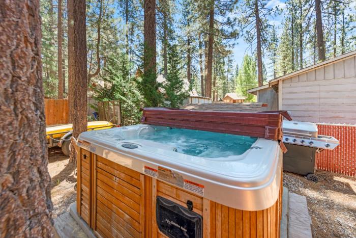 Romantic Getaway - Cozy and beautifully wooded getaway cabin with Hot Tub and a Fenced Yard!
