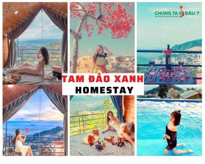 Tam Đảo Xanh Homestay - Venuestay