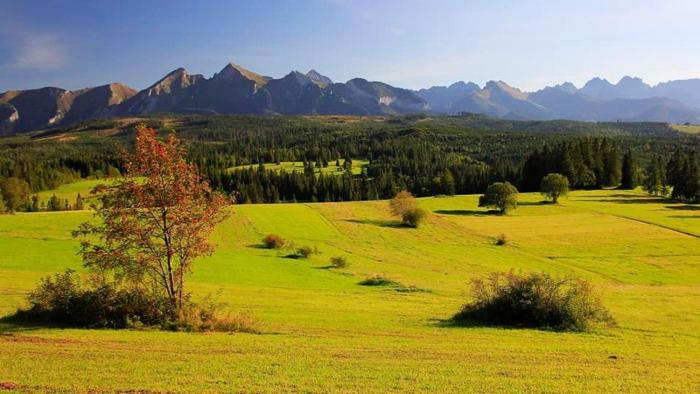 Pokoje Gościnne Panorama