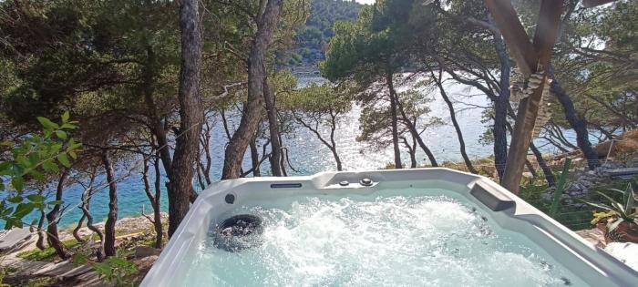 Apartment by the sea Žirje with private heated hydromassage pool