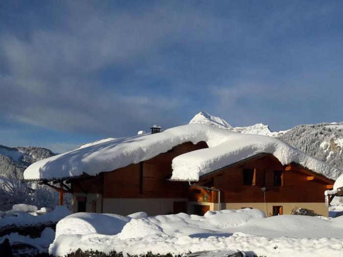 Chalet Le Wapiti, aux pieds des pistes, à 200m du village