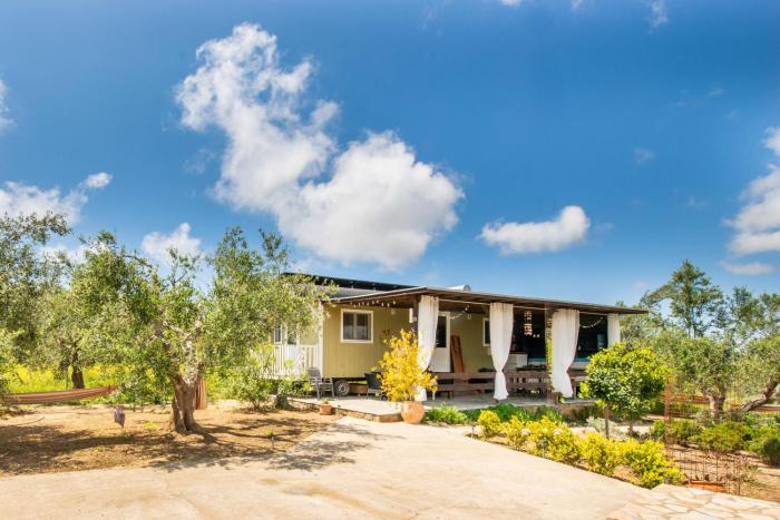 Hakuna Matata Holidays Agalia with airco & pool in Greek Olive Grove