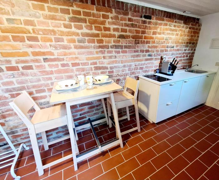 RED BRICKS basement studio apartment