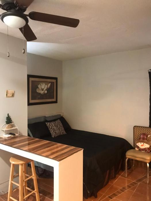 Mini depa # 5 zona Hotelera planta baja