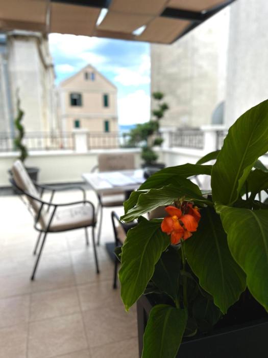 Apartments villa Mira