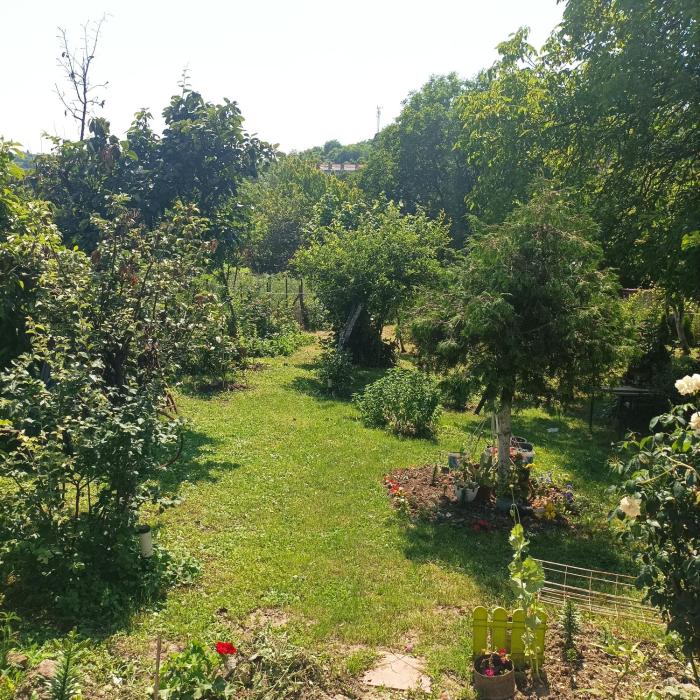 Florida