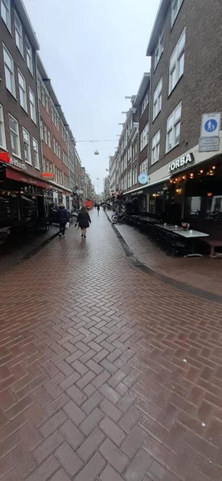 CHARLOTTE, not for parties, not a hotel, room with shared bathroom, no kitchen