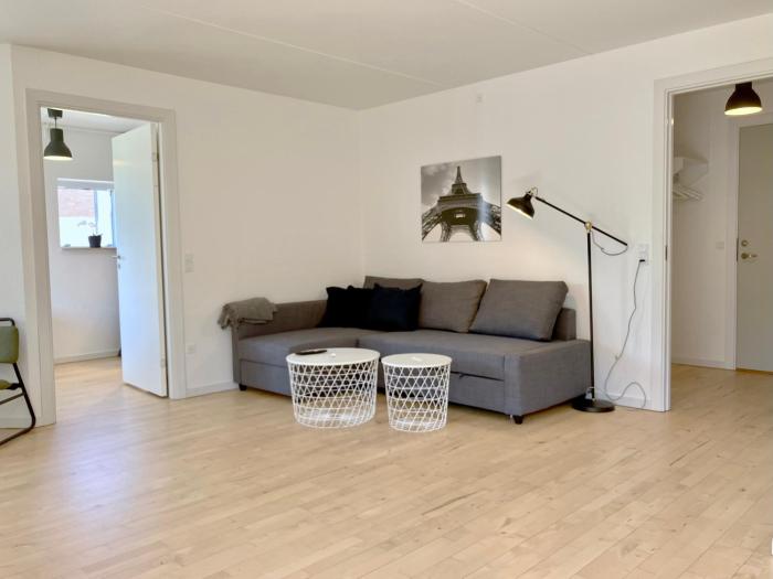 Newly Renovated Two Bedroom Apartment In City Center Of Herning